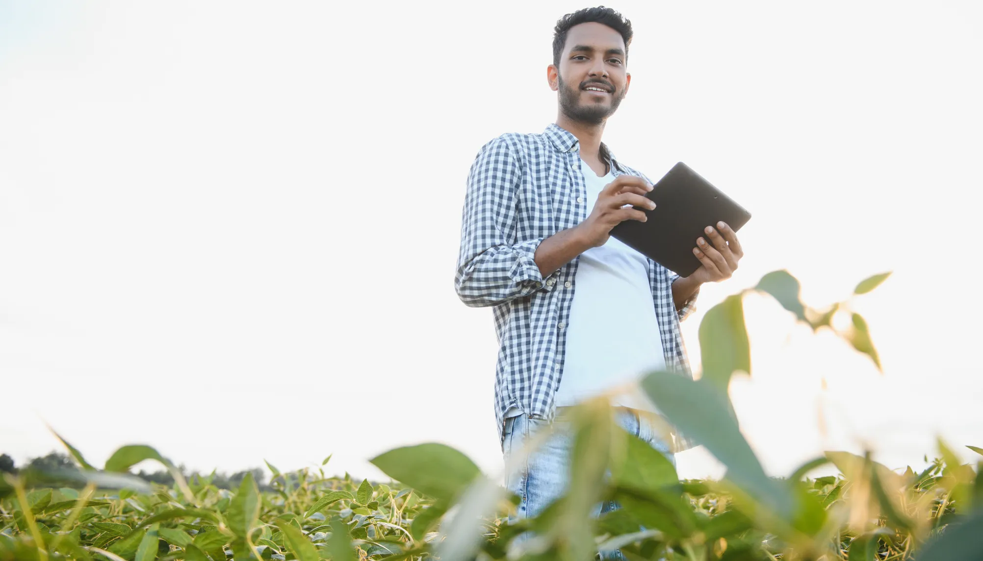 Agri Lending Ban